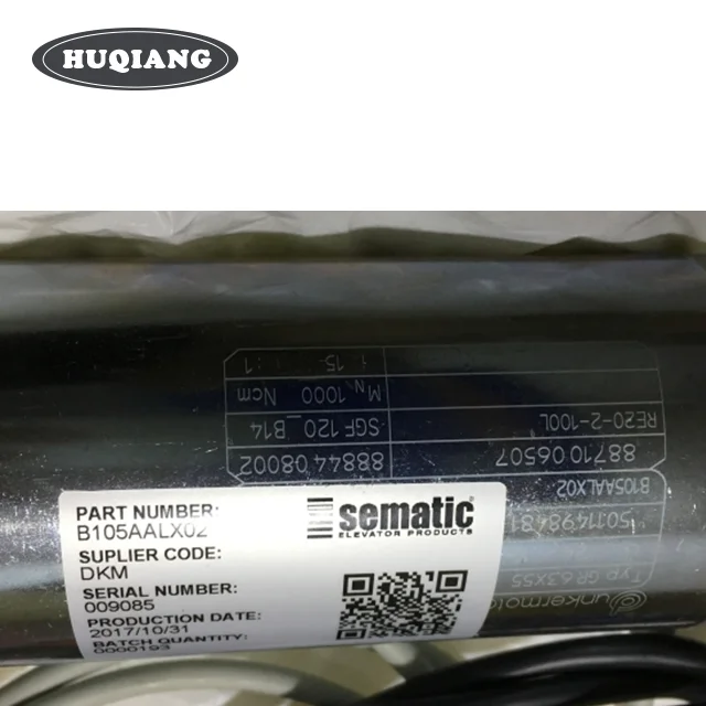 Sematic Lift Parts Elevator Door Motor B105AALX02 GR63*55 GR63*25 BL-B105AANX02 BL-B105AALX02 BL-B105AAJX02