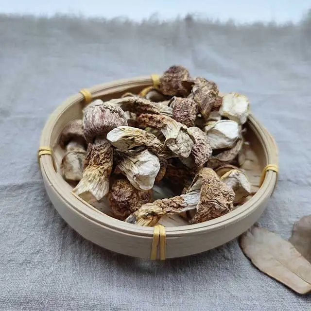 Natural Agaricus Blazei Murill  with High Quality Mushrooms