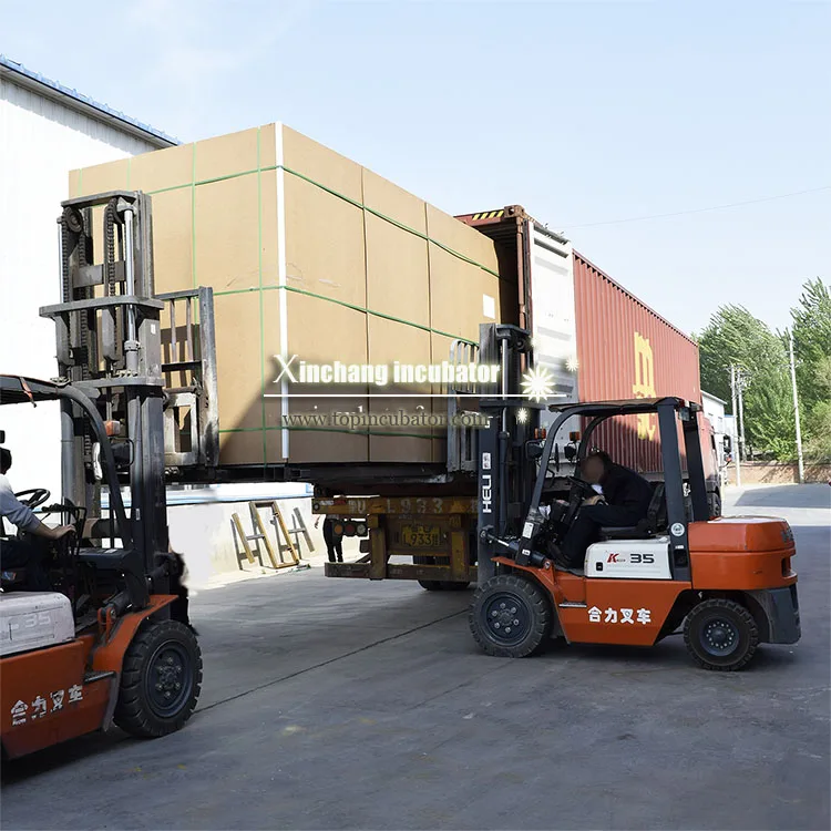 40000 egg hatcher incubator egg for 100000 eggs incubator hatching 50000