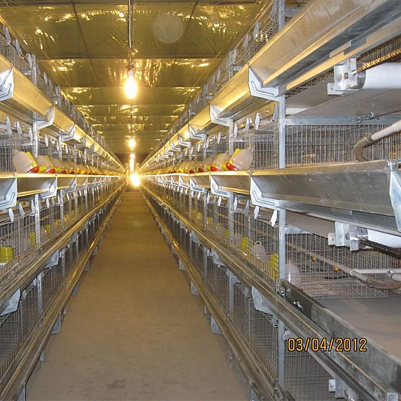 Automatic chicken feeding machine for poultry chicken house