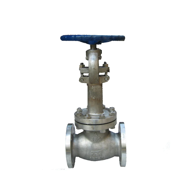 WZLD  Stainless steel Cryogenic Globe Valve
