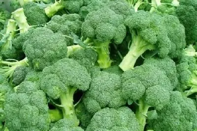 IQF Frozen Vegetable Organic IQF Frozen Broccoli