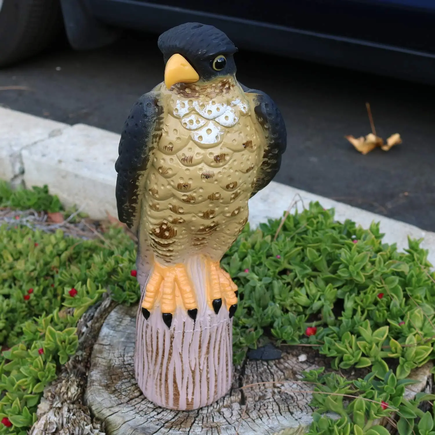 Scarecrow Eagle Falcon Hawk Decoy To Deterrent Bird For Garden