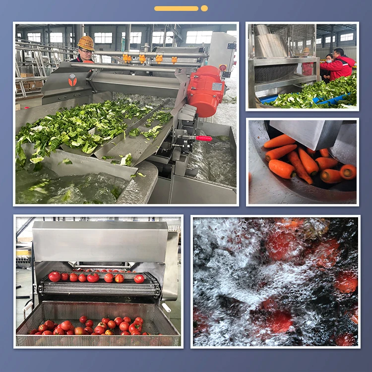 XXD Высококачественная машина для обработки овощей и пищевых продуктов, машина для обработки листовых овощей