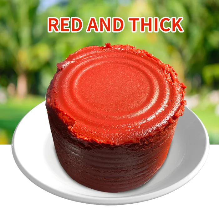 2024 70 g Easy Open Tin Tomato Paste with OEM Brand tomato import paste