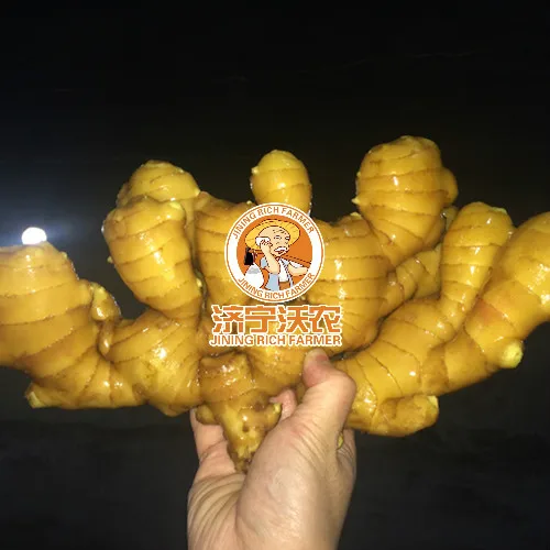 Fresh Ginger Buyers In China Good Quality Ginger Price Per Ton