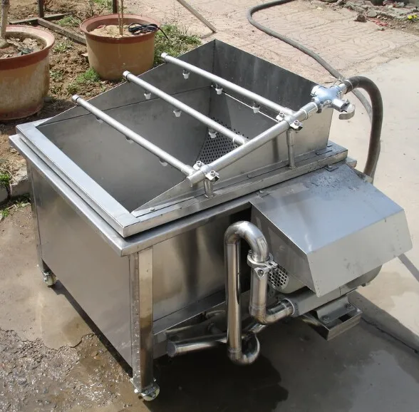 Washing dried fruit machine green leaf vegetable wash machine vegetable washer fruit washing machine