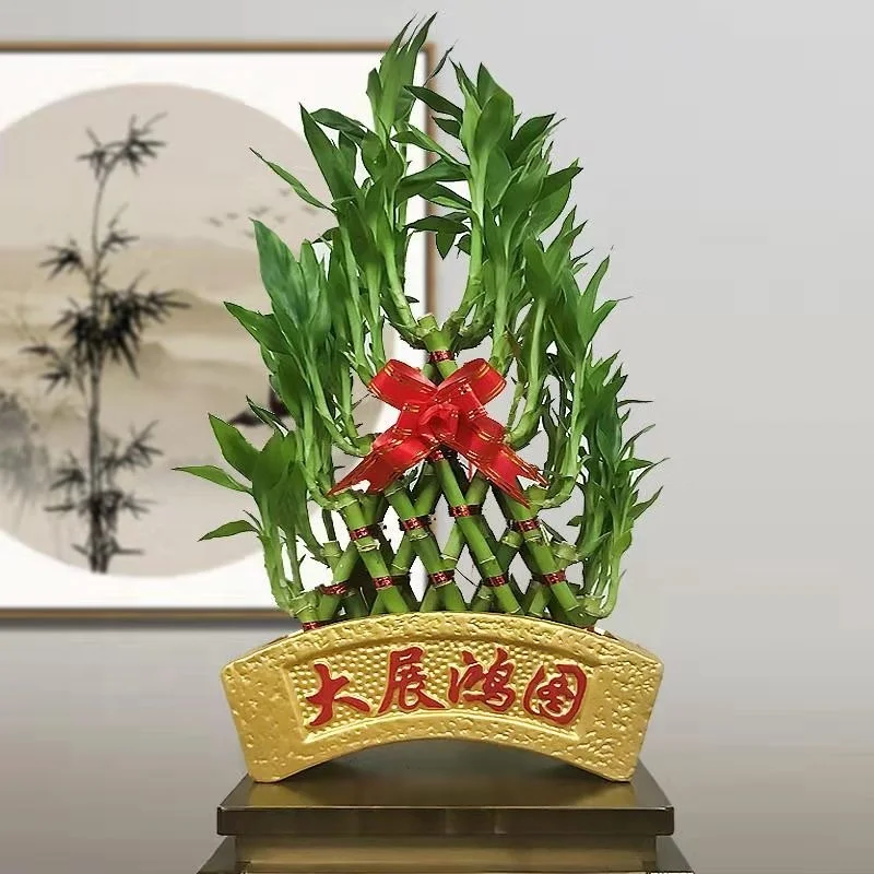 
Indoor boat shaped lucky bambooSubtropics Climate air bonsai 