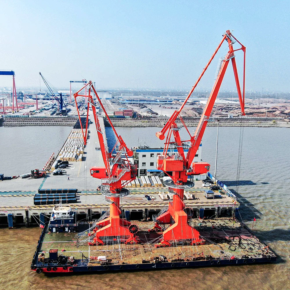 50T Offshore Portal Crane Machine Pedestal Cranes for Offshore Applications