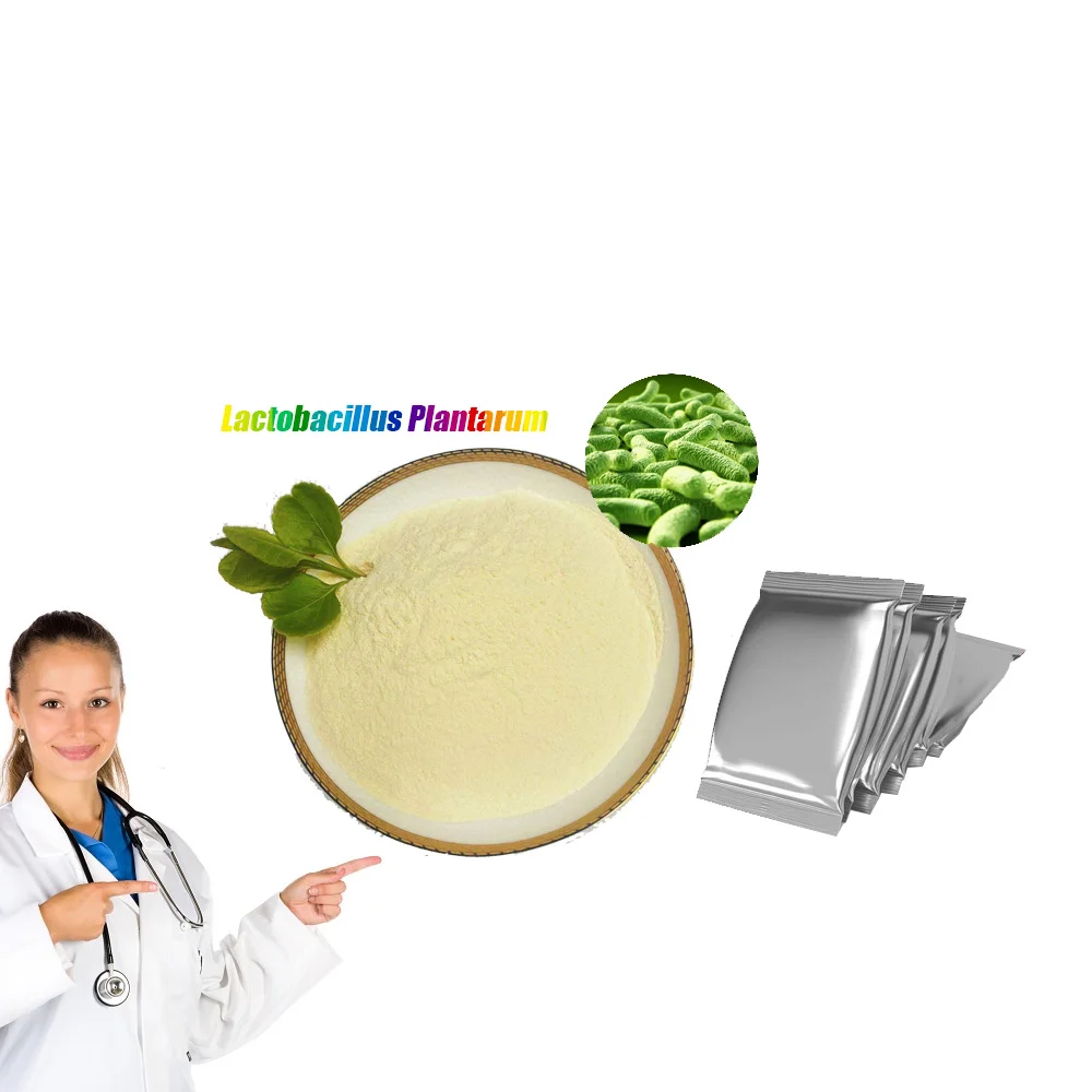 Freeze dried probiotics powder of Lactobacillus plantarum and Lactiplantibacillus plantarum for fermented dairy products