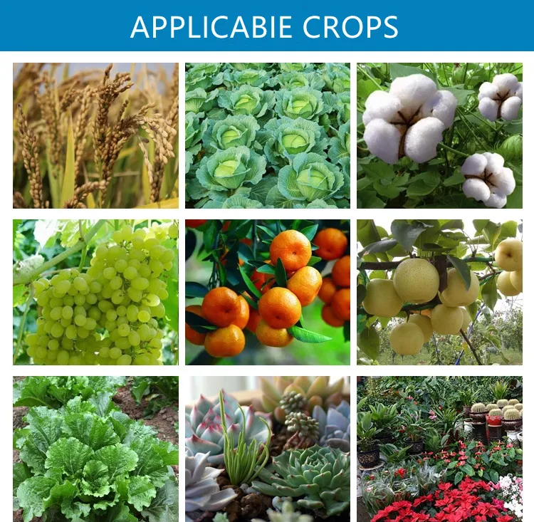 Agricultural organophosphorus  fungicide zineb 80% WP