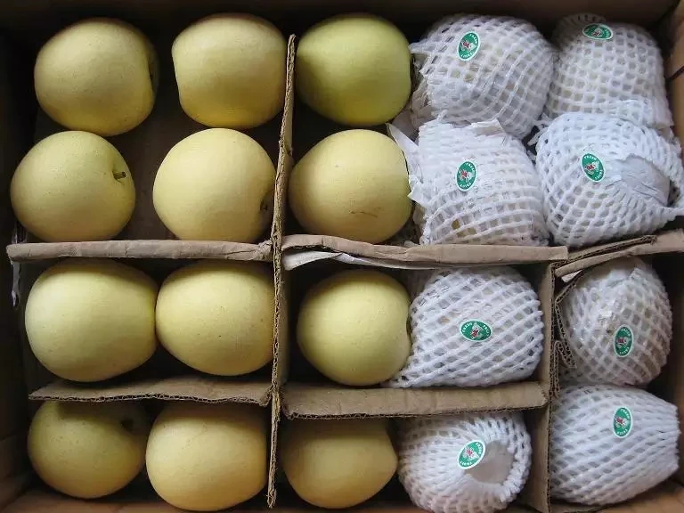 Price of fresh pears exported from China with high-quality Chinese pear fruits