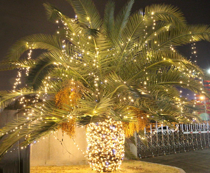 24V Low Voltage Led Colorful Fairy Light Garden Trees Decoration Stars String lamp For DIY Wedding Party Bedroom Patio Christmas
