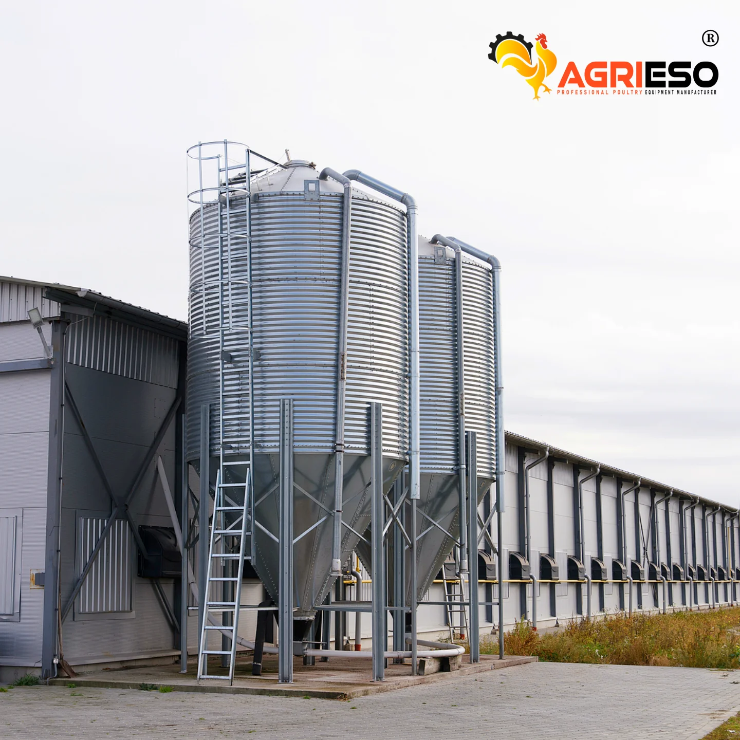 Agrieso AGS36-2 layers 21 Ton Poultry Chicken Farm Barn Feed Silo Storage Bin Hot Galvanized Fresh Food Keep Poultry Silo