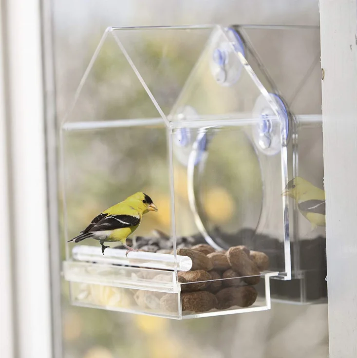 Acrylic Transparent humming hanging bird feeder with with Super Strong Suction Cups