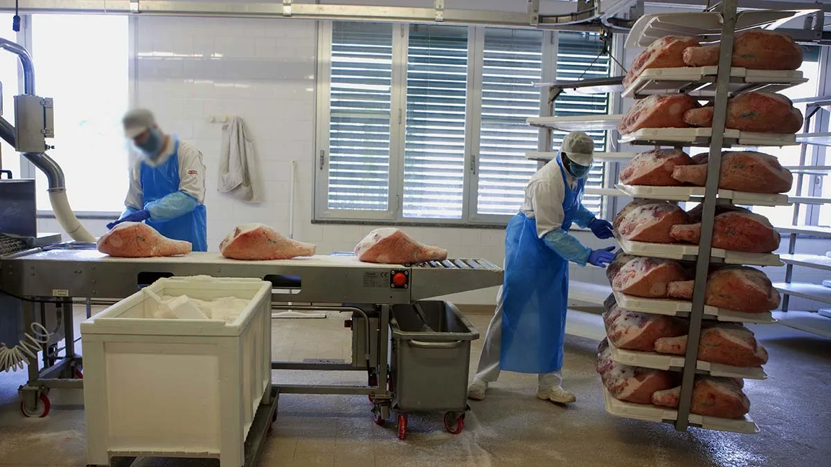 Cured ham estero. Italy Wholesale gourmet cured ham meat pork price