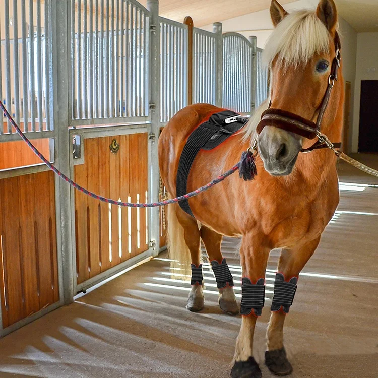 
Medical grade red light therapy 660nm 850nm laser 360 belt Massage Body Pads Wrap Belt 