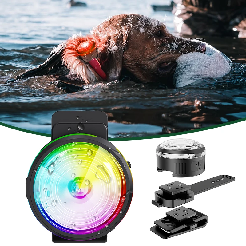 IPX7 Водонепроницаемая ночная прогулка зажим для безопасности поводок светящийся кулон светодиодная лампа собак