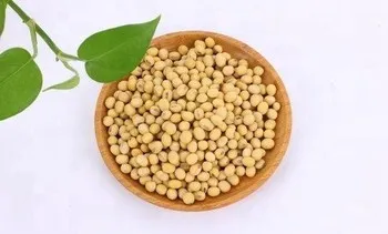 Food Grade Good Quality Halal and Kosher Certificated Isolated Soy Protein
