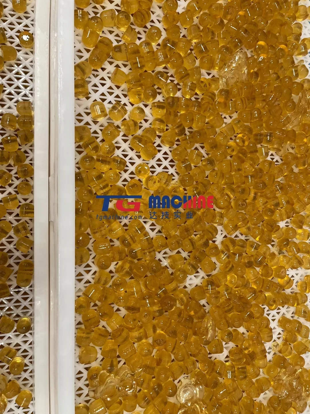 TG Factory Price Gummy Bear Depositing Line Sweet Center Filling 3 Colour Jelly Candy Coating Equipment
