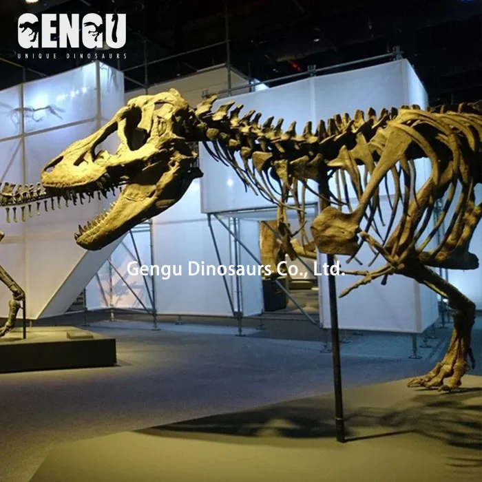 Fiberglass Dinosaur Fossil Statue Hanging Dinosaur Skeleton