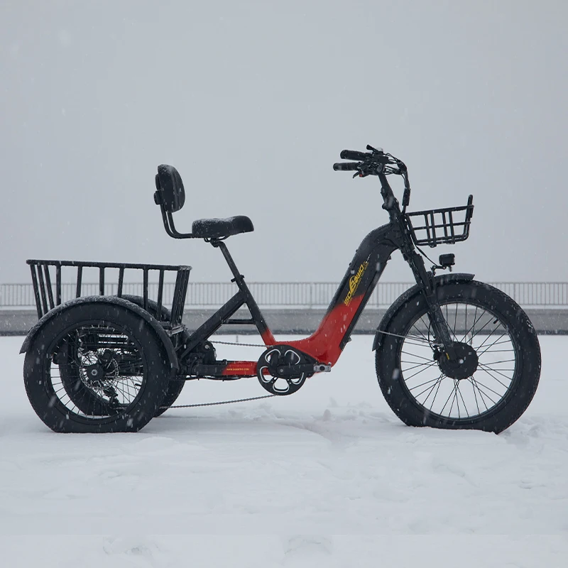 New step thru cargo electrica triciclo 48v bafang dual motor etricycle 2000w 40ah torque sensor dual batteries electric trike