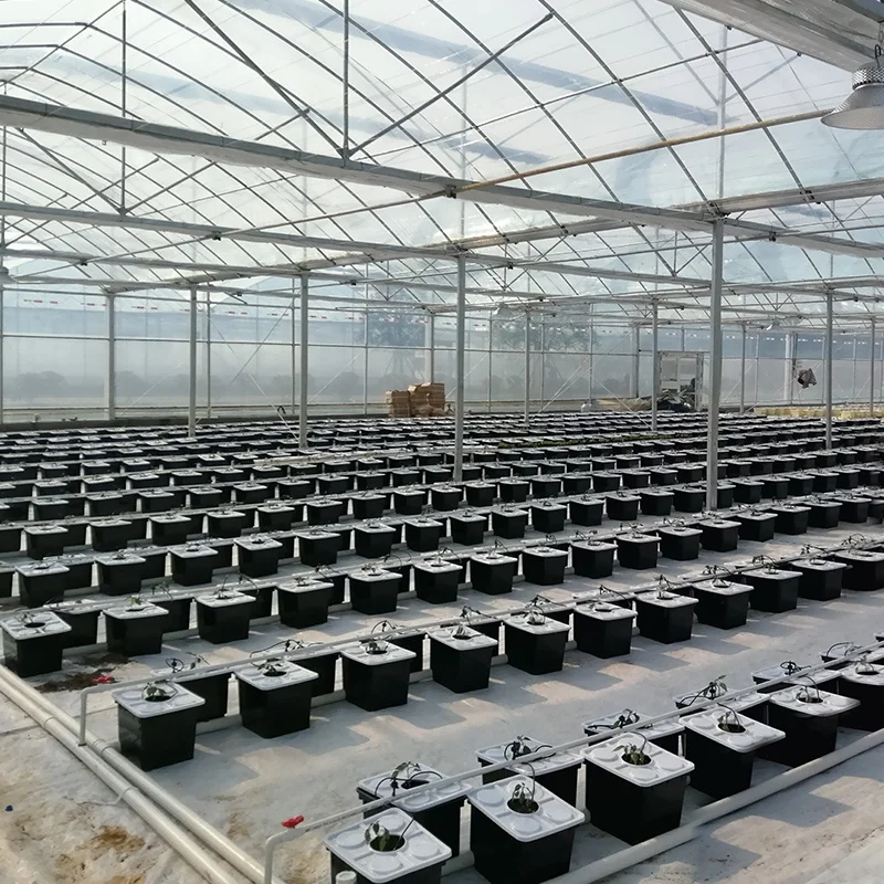 Agriculture Dwc Hydroponic Growing Systems  Deep Water Culture Bucket Hydroponic Bucket