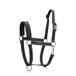 Nylon Horse Luxury Equestrian Head  Halter Training With Logo Turquoise Adjustable Nylon Horse Halter
