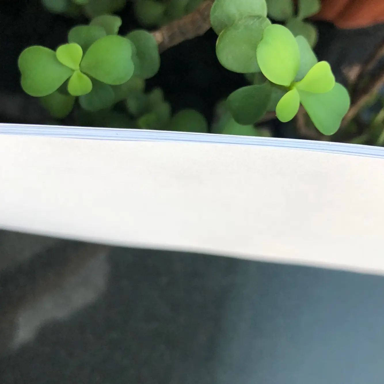 Paper One A4 Paper One 80 GSM 70 Gram Copy Paper / A4 Copy Paper 75gsm / Double A A4 Copy Paper