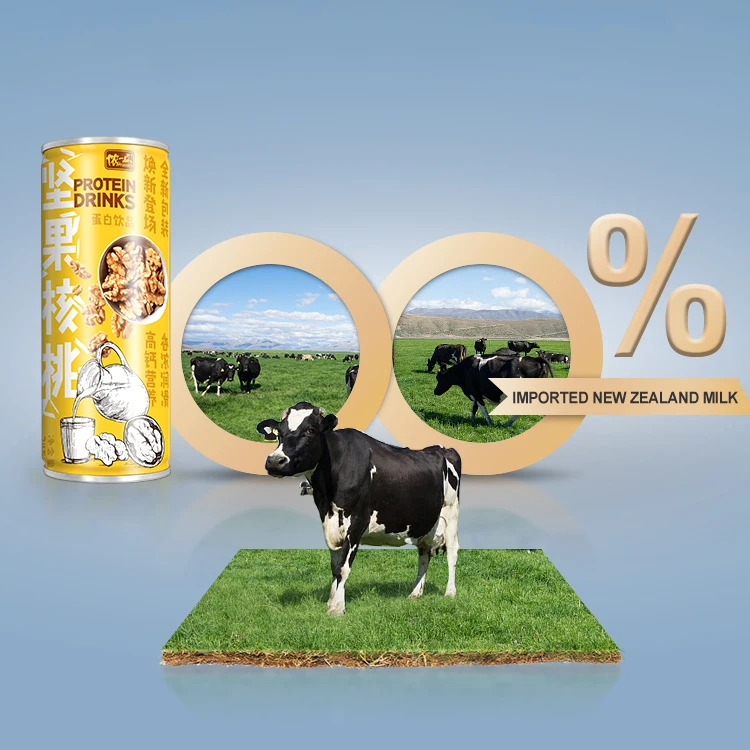 LISHI Good Nutrition Beverage Calcium Canned Dessert 245ml 72 Per Carton Nut Walnut Drinking Milk