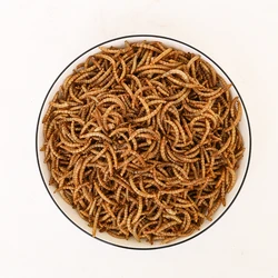 Wholesale export-grade bird food hamster edible yellow mealworm dried mealworm