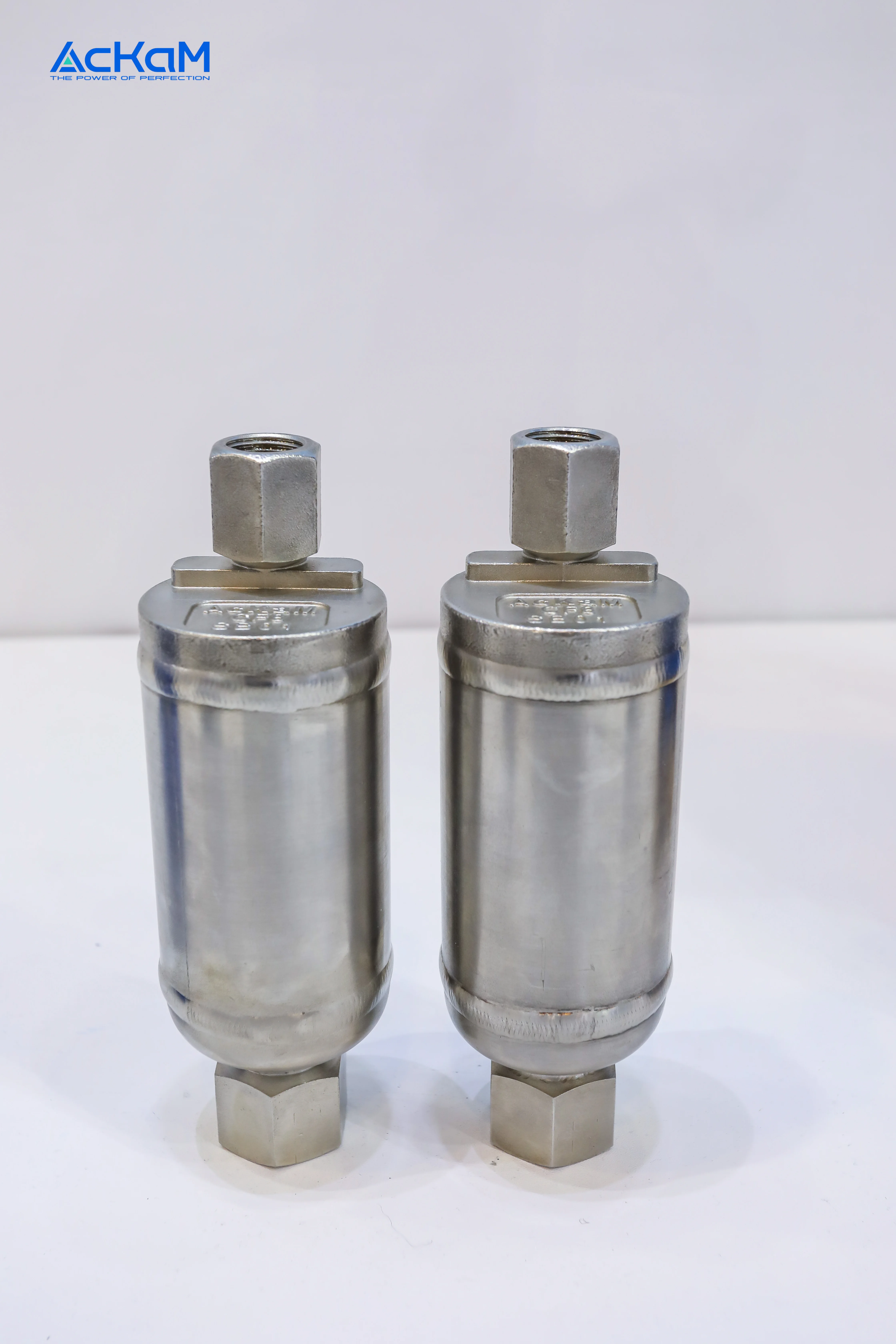 Factory Direct Supply AV28Q Stainless Steel Flange Threaded Exhaust Valve for Lithium Batteries Manual Power General Application