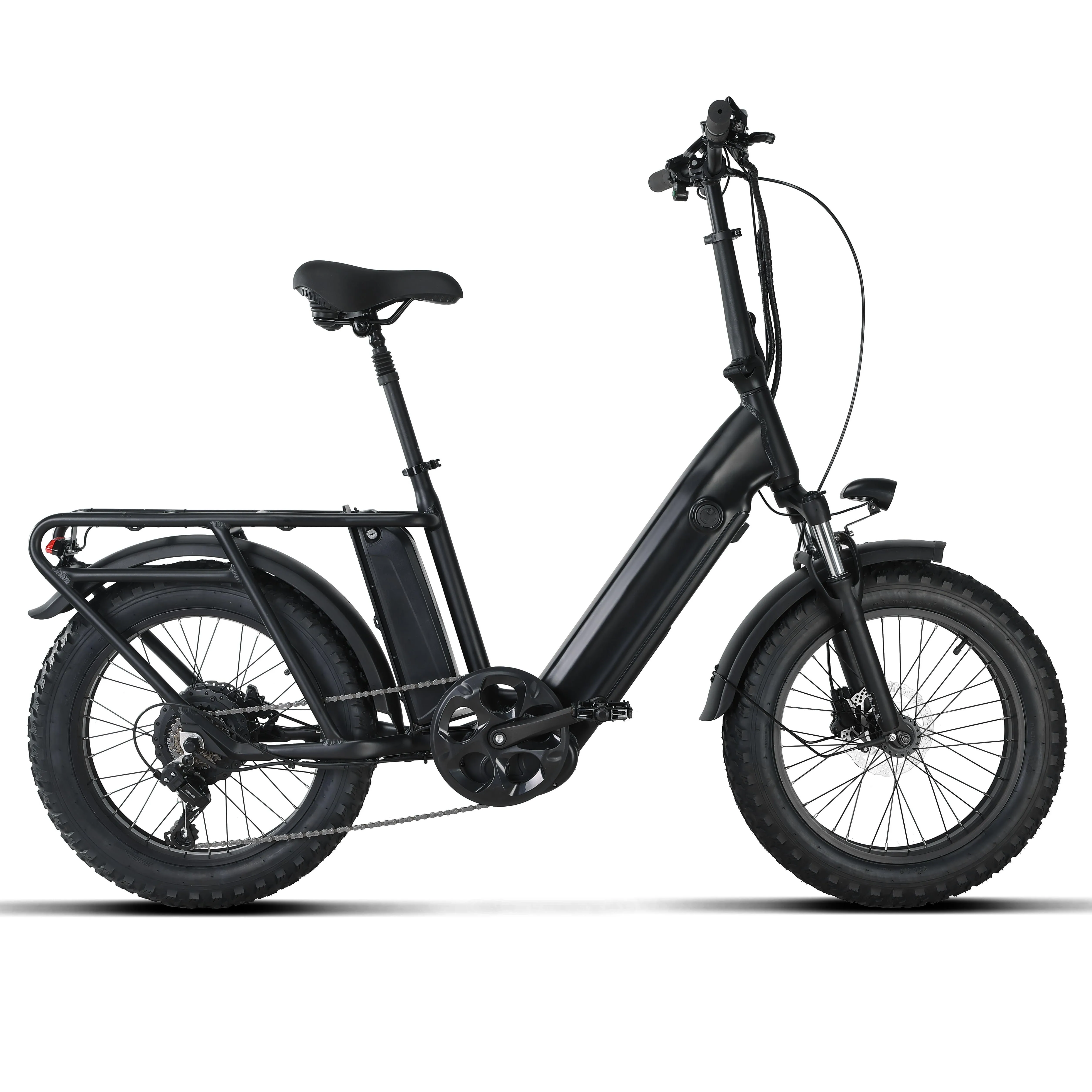 Mofun long range cargo ebike 20inch fat tire electric bike bicycle with double two lithium battery