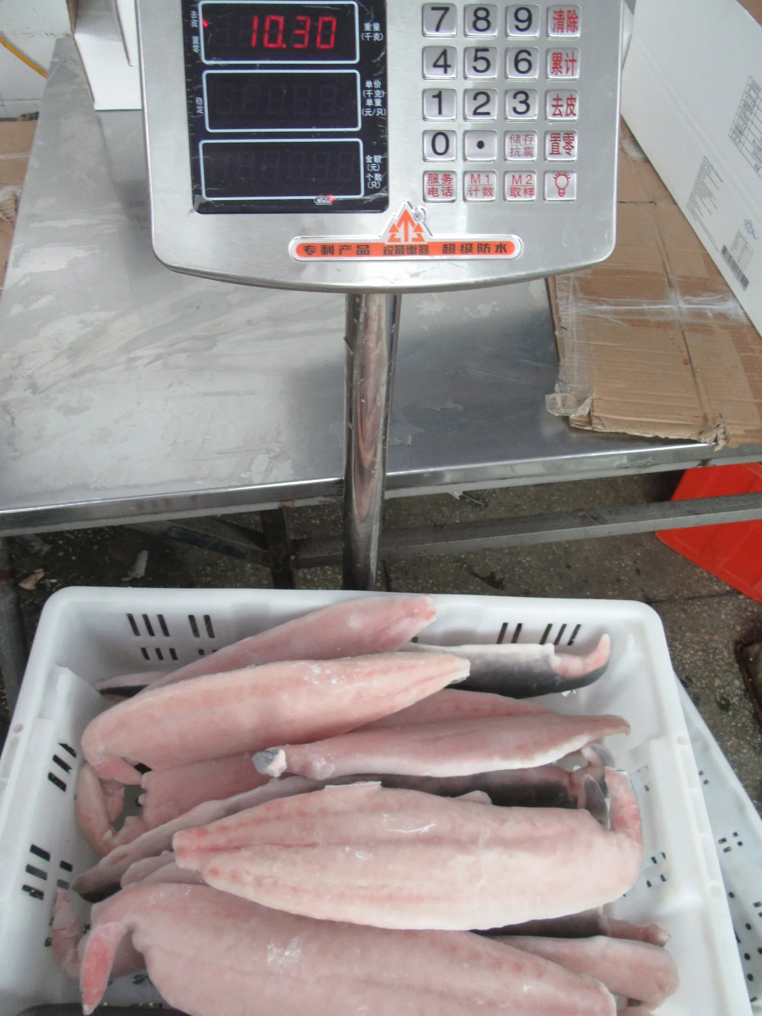 
Frozen Mahi Mahi fillets fish seafrozen IQF for market 