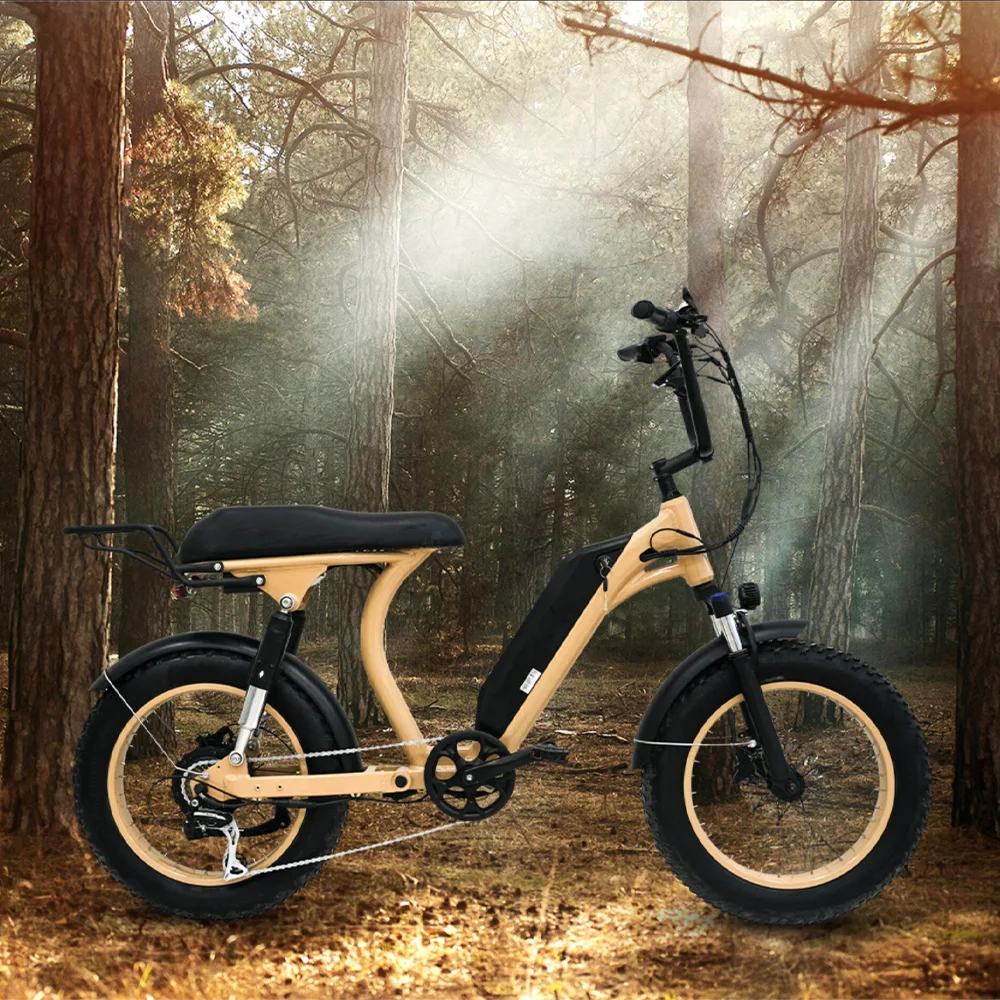 Aimos Classic 20 inch Adult City Electric Bike 250W/500W 10ah/20ah Lithium battery E Bike Electric Motorcycle Bicycle