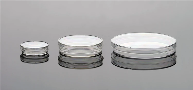 round petri dish