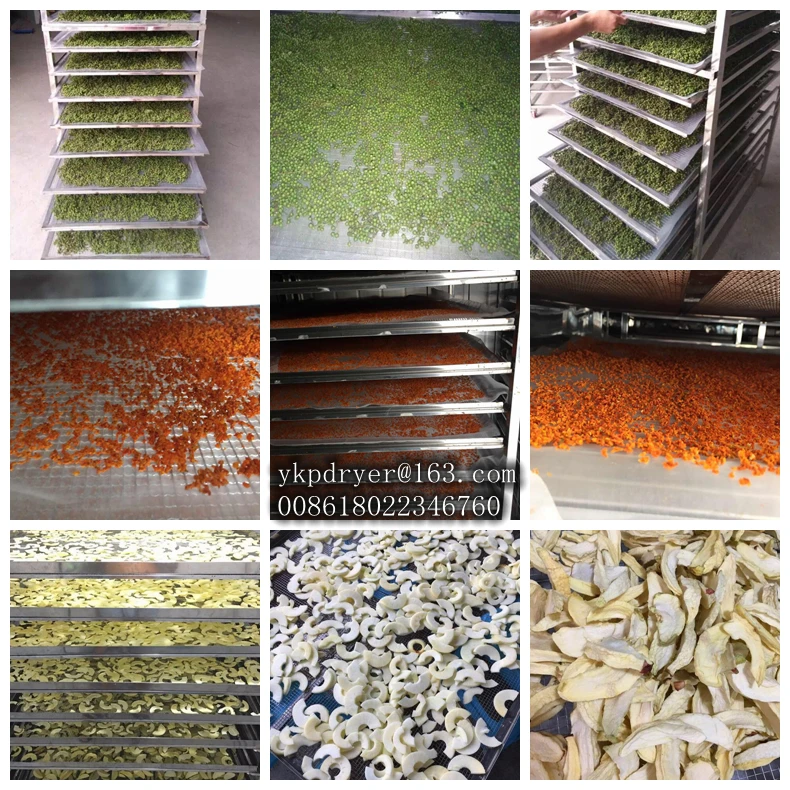 factory direct sale avocado drying machine drying all kinds of food fruit drying oven