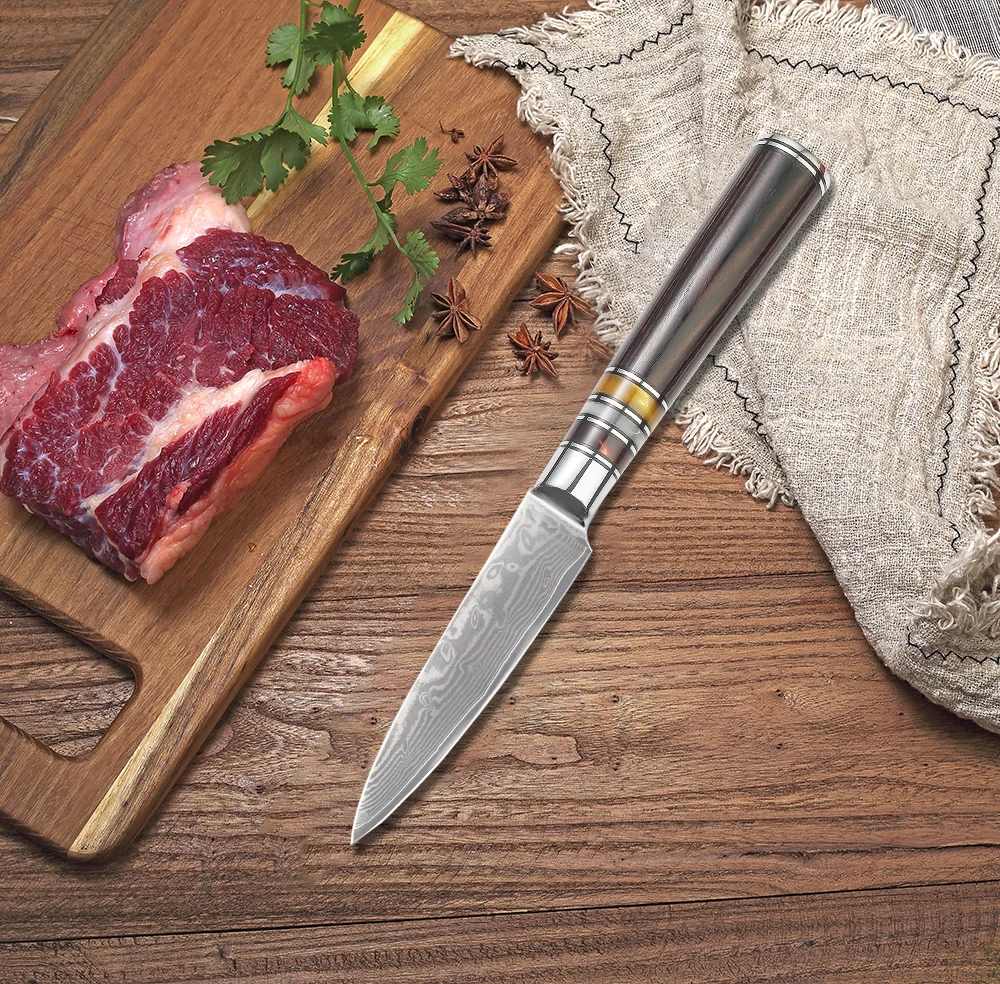 Best Quality Japanese Steel 67Layers 3.5 Inch Damascus Paring Knife