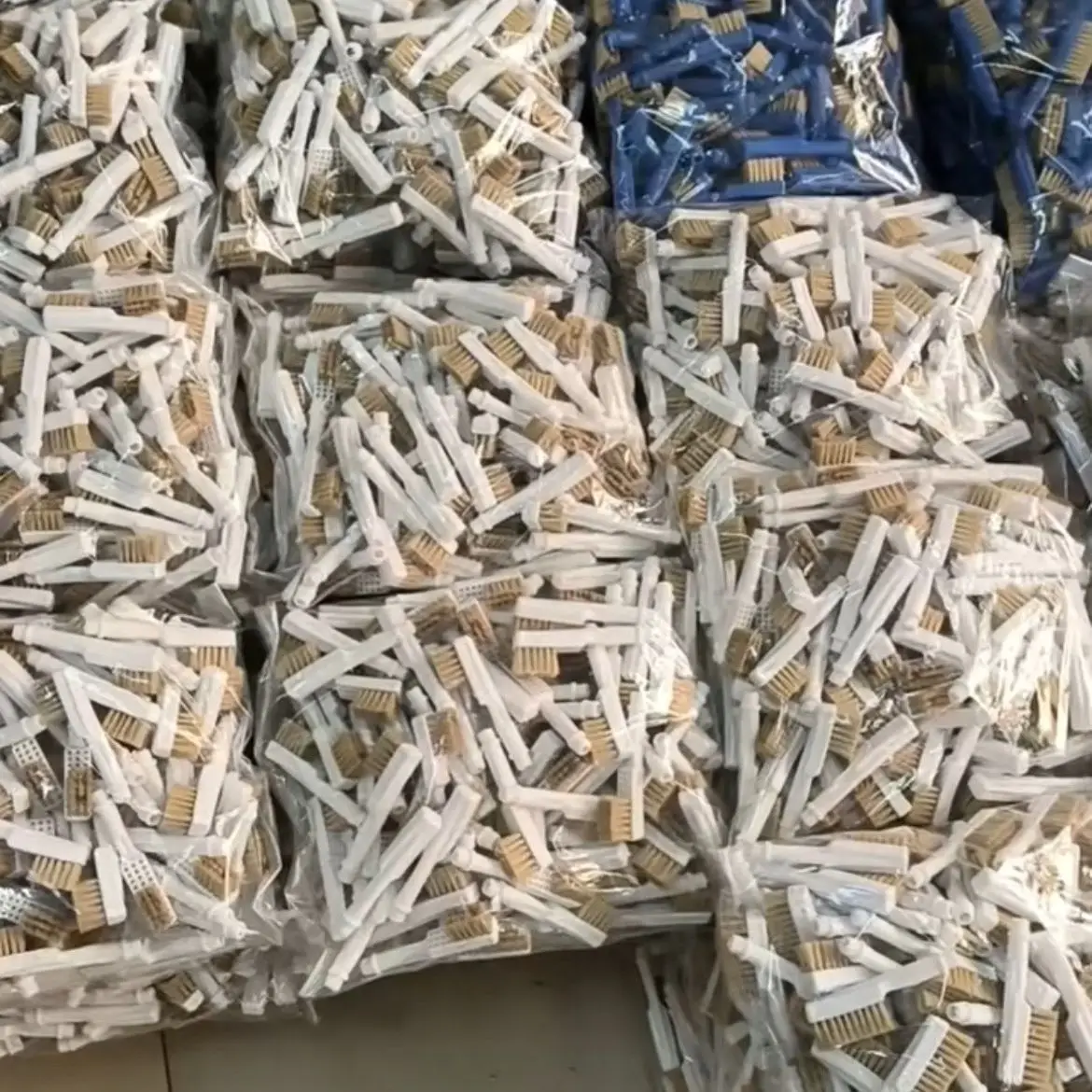 100% boar bristle cleaning brush for glue shoe   shoe glue brush in plastic handle