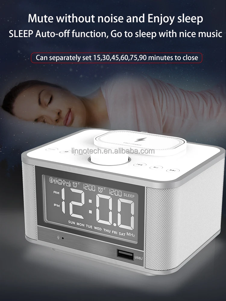 alarm speaker  (10)