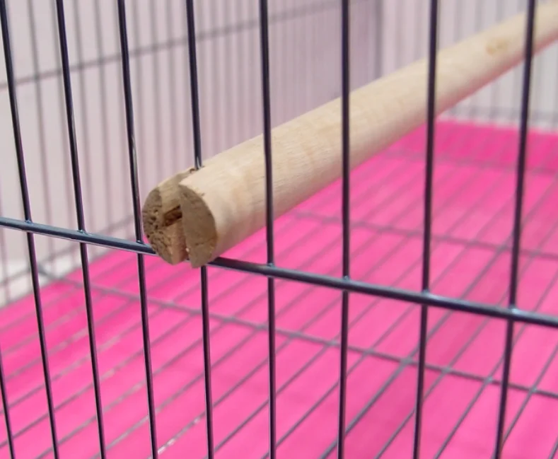 Large Metal Portable Folding Bird Parrot Pet Chicken Breeding Cages Animal Carrier