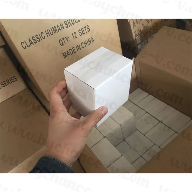 Medical Education props Small Size mini Human Anatomy Skull Model Adult Head Bone for Art Student Sketching