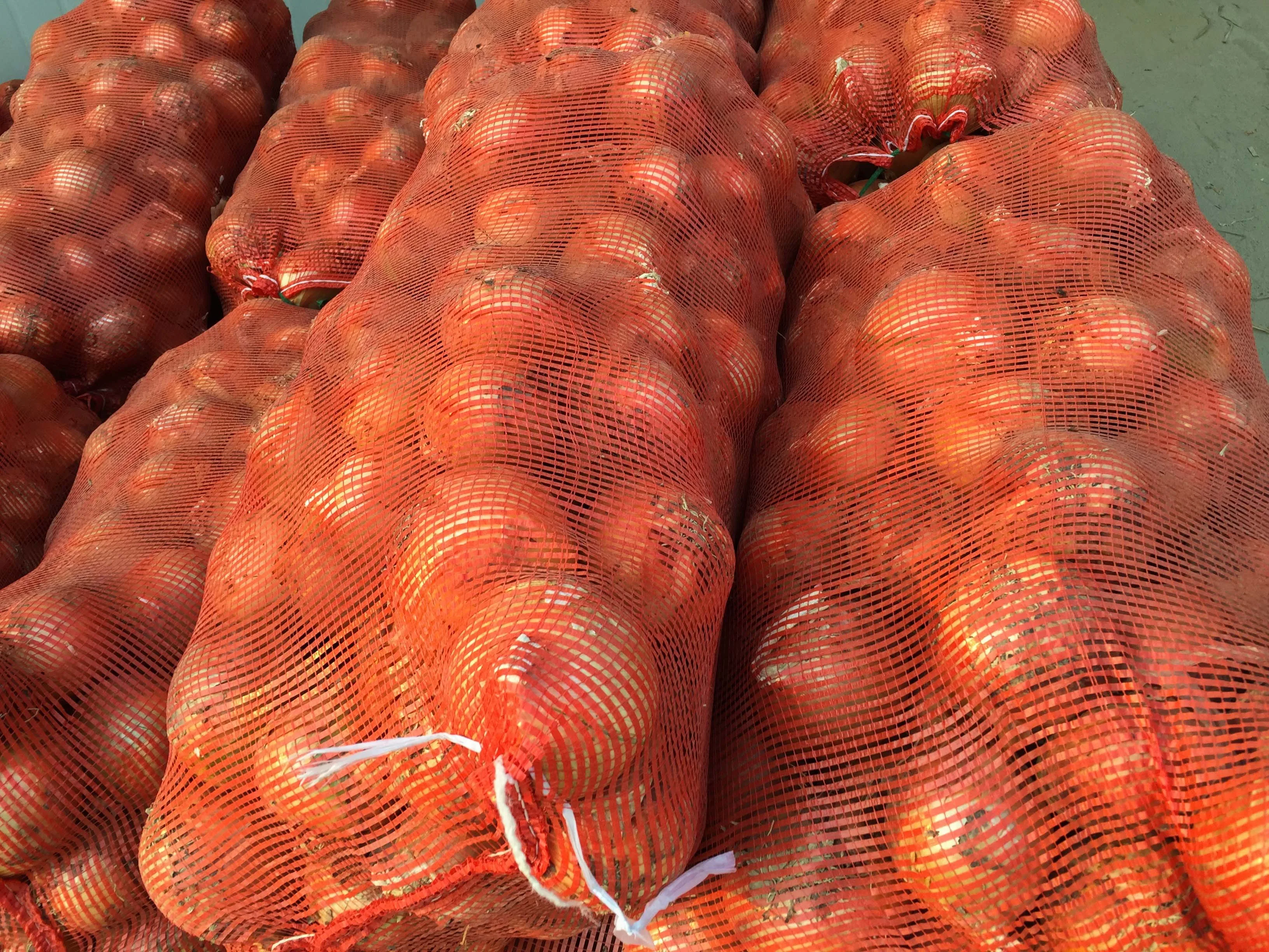 Red/yellow onion fresh wholesale price pack in mesh bag