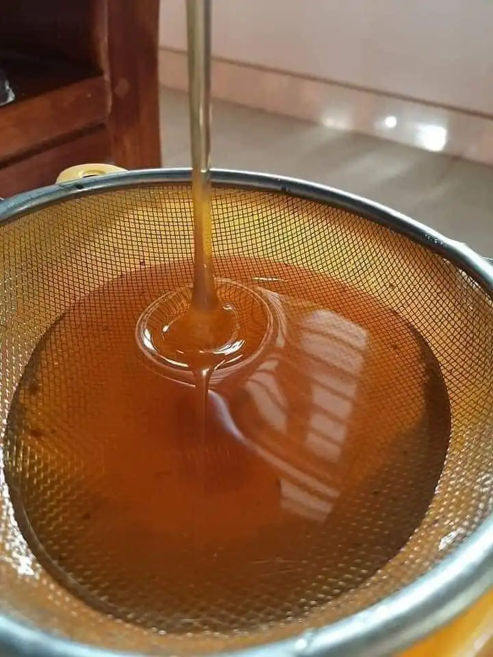 Flavor Fragrance Pure Honey Best Brand Manufacturer Supplier From Vietnam  Cheap Price Low MOQ For Export Hot Selling