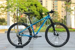Hot sale wholesale MISSILE new 10 speed mtb 29 inch mountain bike alloy mtb bicicleta mountain bike for man