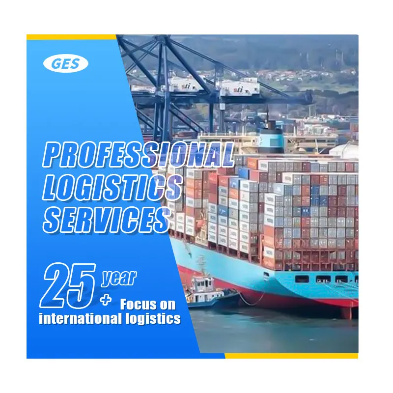 Professional Sea Freight Forwarders  Shipping To Italy Cheapest Rate From China
