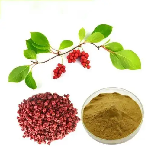 Сырье экстракт лимонника в порошке натуральный растительный экстракт лимонника китайский экстракт лимонника китайского