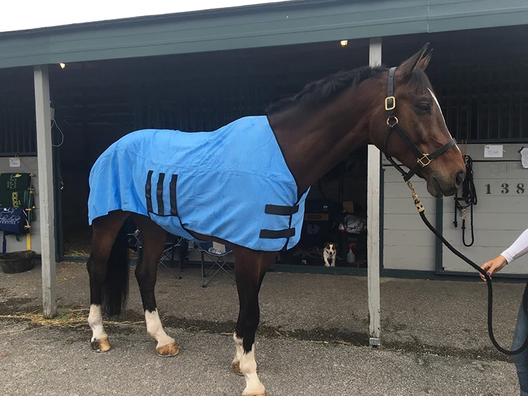 
Techcool Summer Evaporative PVA Cooling Horse Blanket PVA Cooling Horse Rugs 