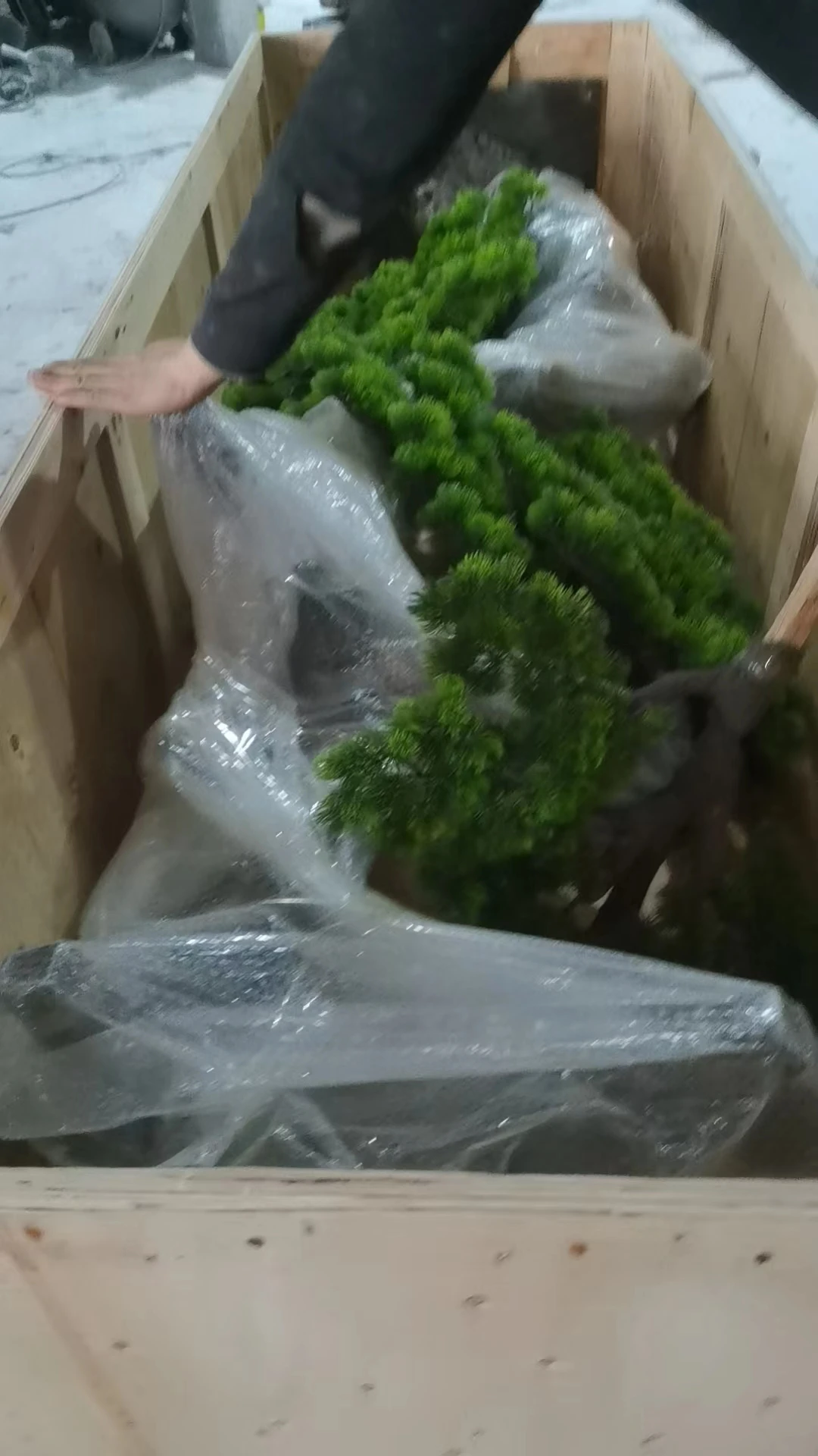 2024 new Customize 3m height Customize landscape indoor tree artificial cypress pine bonsai tree