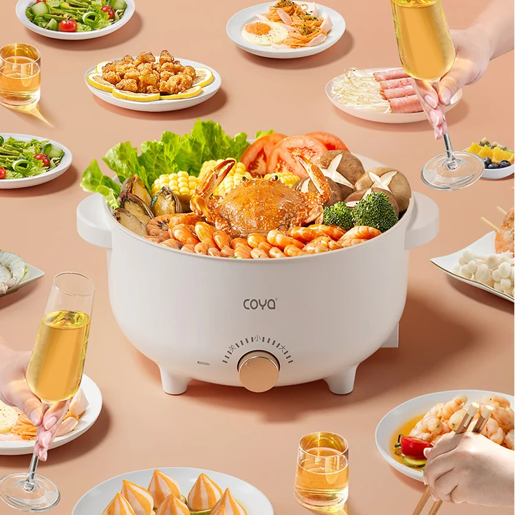 Multifunction Power Adjustment 700w Dormitory Student Noodle Oatmeal Soup With Steamer Electric Cooking Pot